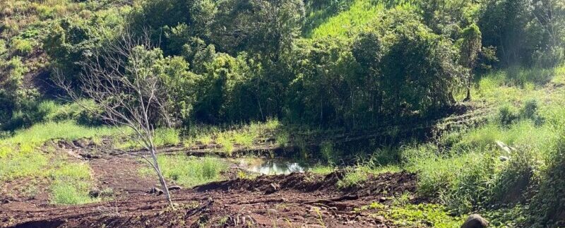photo_2021-10-20_08-30-45