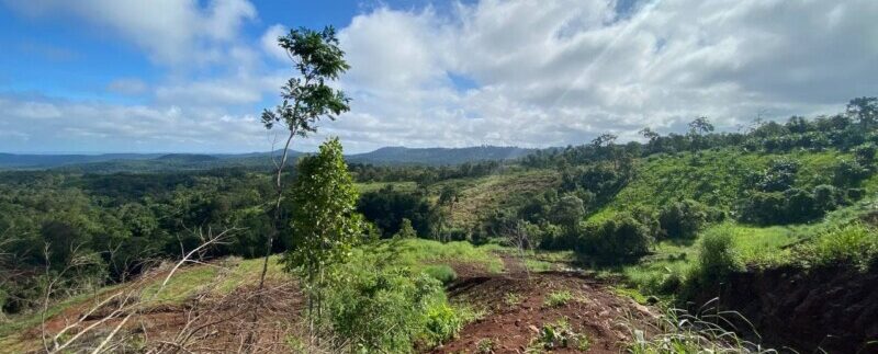 photo_2021-10-20_08-30-48