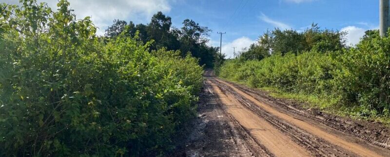 photo_2021-10-20_08-30-49