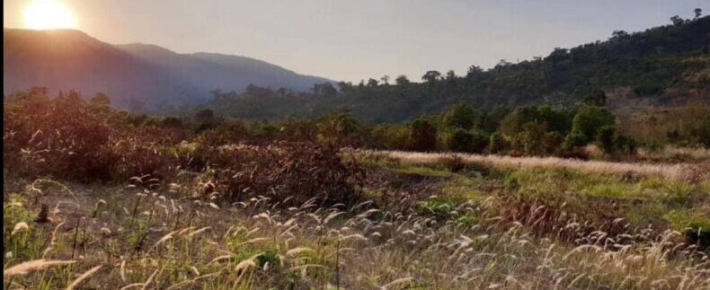 photo_2021-10-20_11-27-55