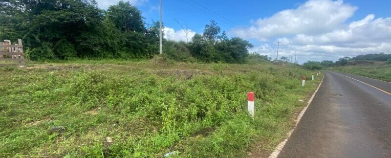 photo_2021-10-20_16-07-43