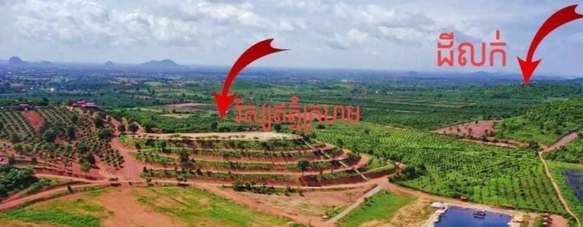 photo_2021-10-21_11-41-28