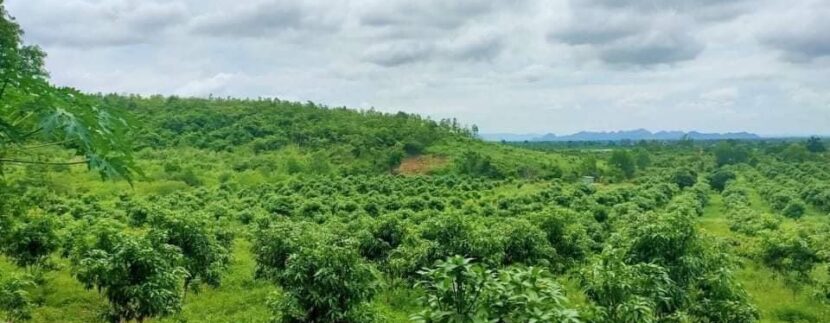 photo_2021-10-21_11-41-40