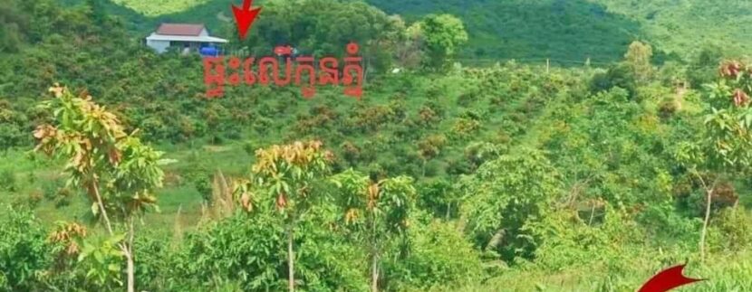 photo_2021-10-21_11-41-41 (2)