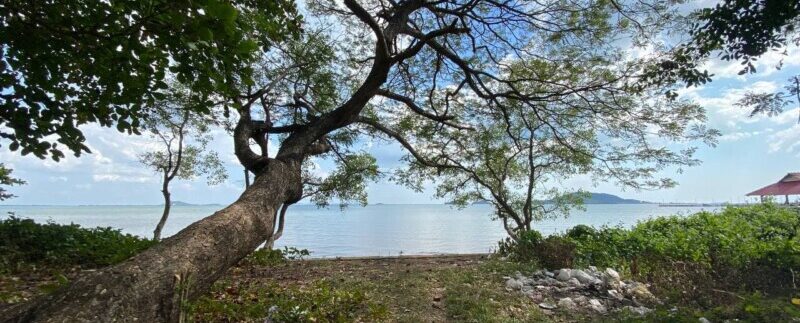 photo_2022-02-15_11-13-15