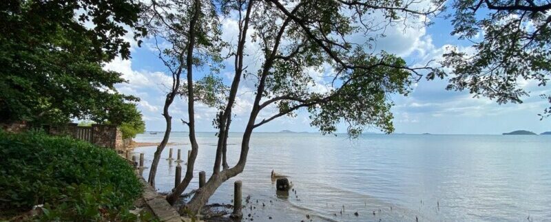 photo_2022-02-15_11-13-16