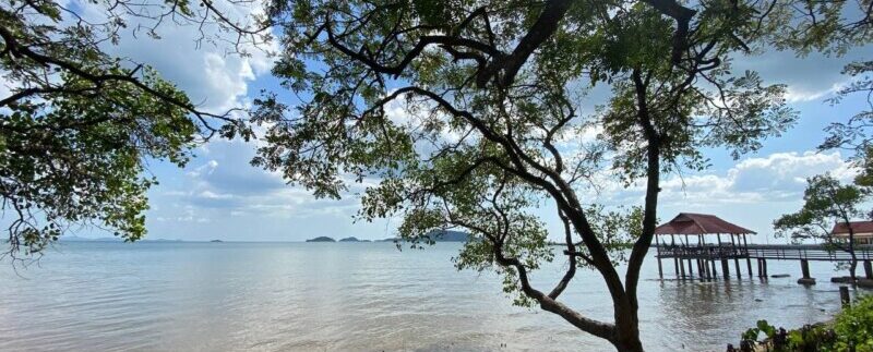 photo_2022-02-15_11-13-17