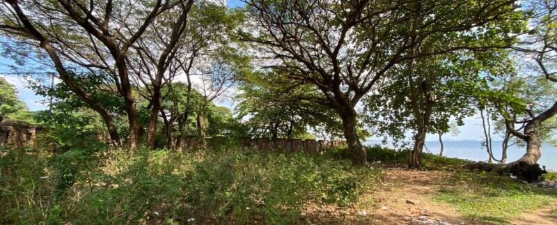 photo_2022-02-15_11-13-20