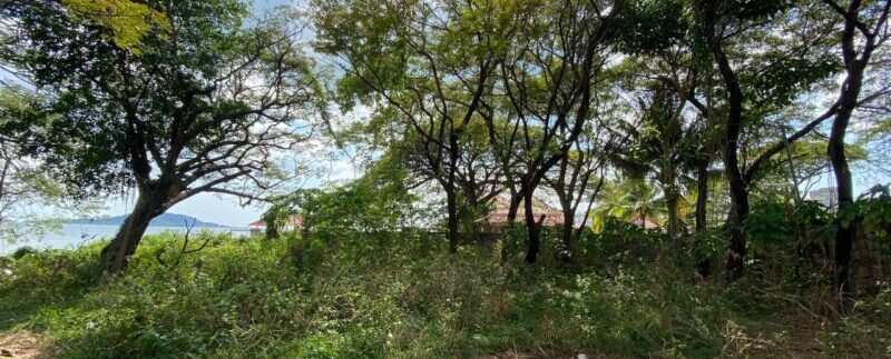 photo_2022-02-15_11-13-21