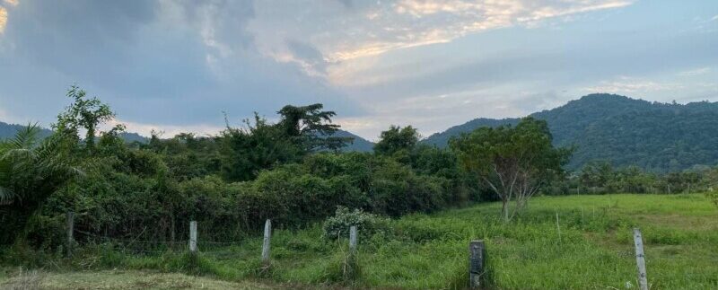 photo_2022-02-15_11-40-27