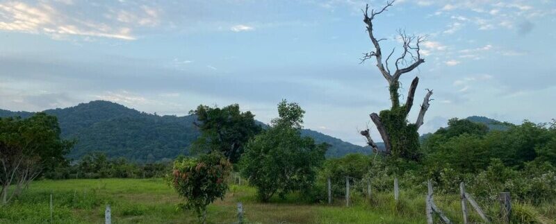 photo_2022-02-15_11-40-28