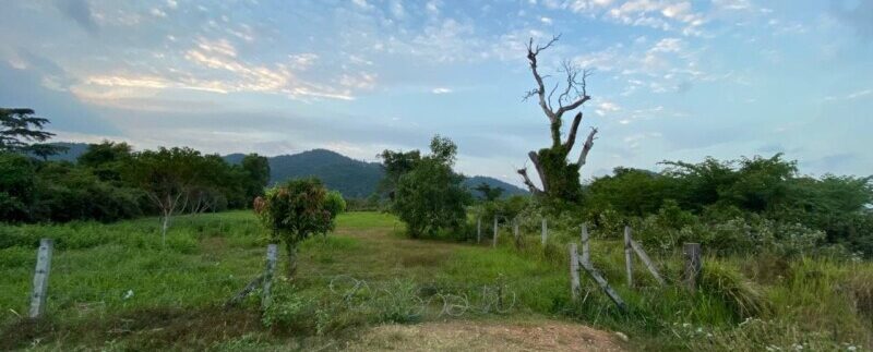 photo_2022-02-15_11-40-29