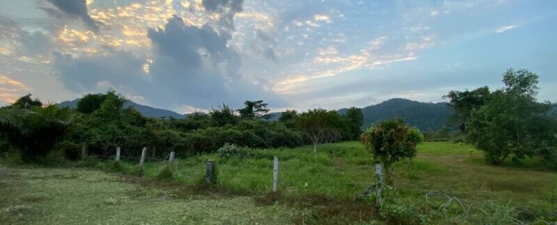 photo_2022-02-15_11-40-30