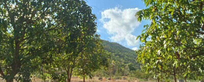 photo_2024-04-29_15-05-41