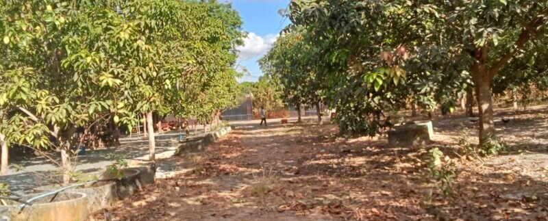 photo_2024-04-29_15-05-50