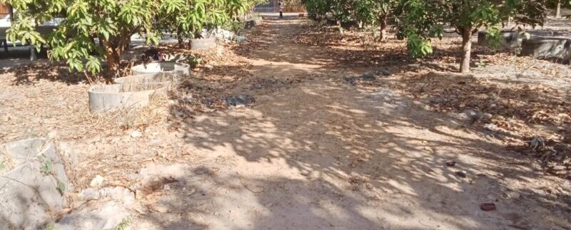 photo_2024-04-29_15-05-58