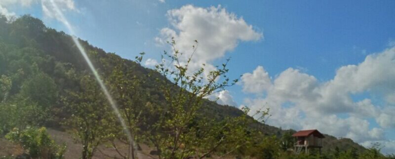 photo_2024-04-29_15-06-01