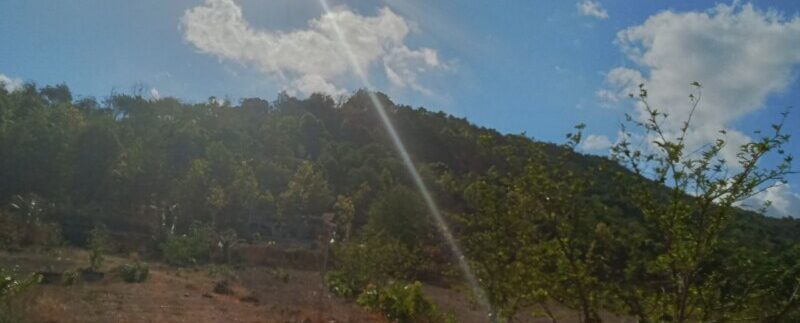 photo_2024-04-29_15-06-02