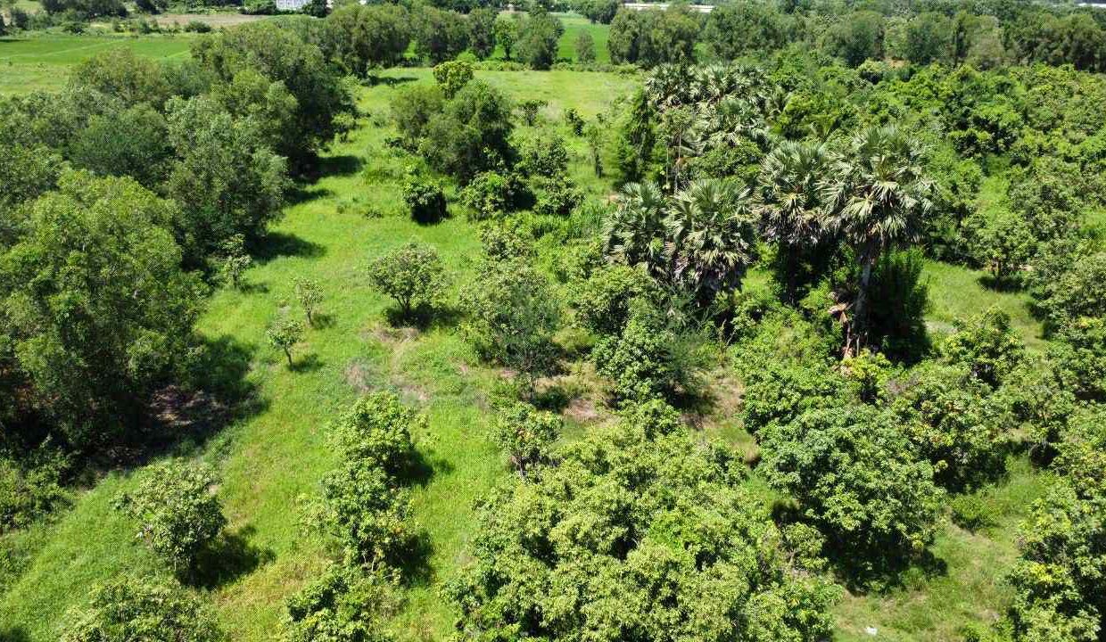 Land for Sale in Preak Doung, Kandal – 40,000m² Near Ring Road 3 Big tree greenery