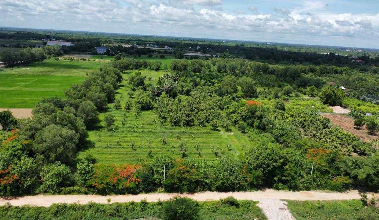 Land for Sale in Preak Doung, Kandal – 40,000m² Near Ring Road 3 Good access