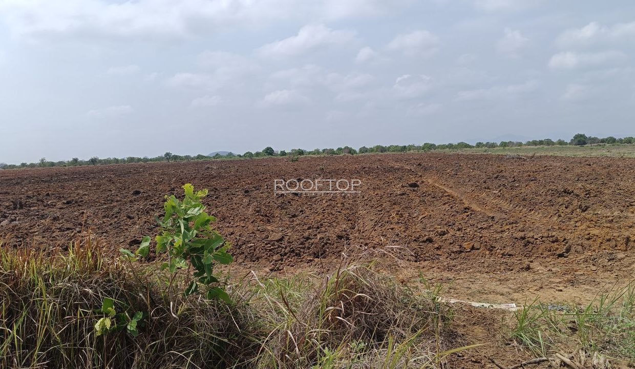 photo_2025-04-07_10-19-35