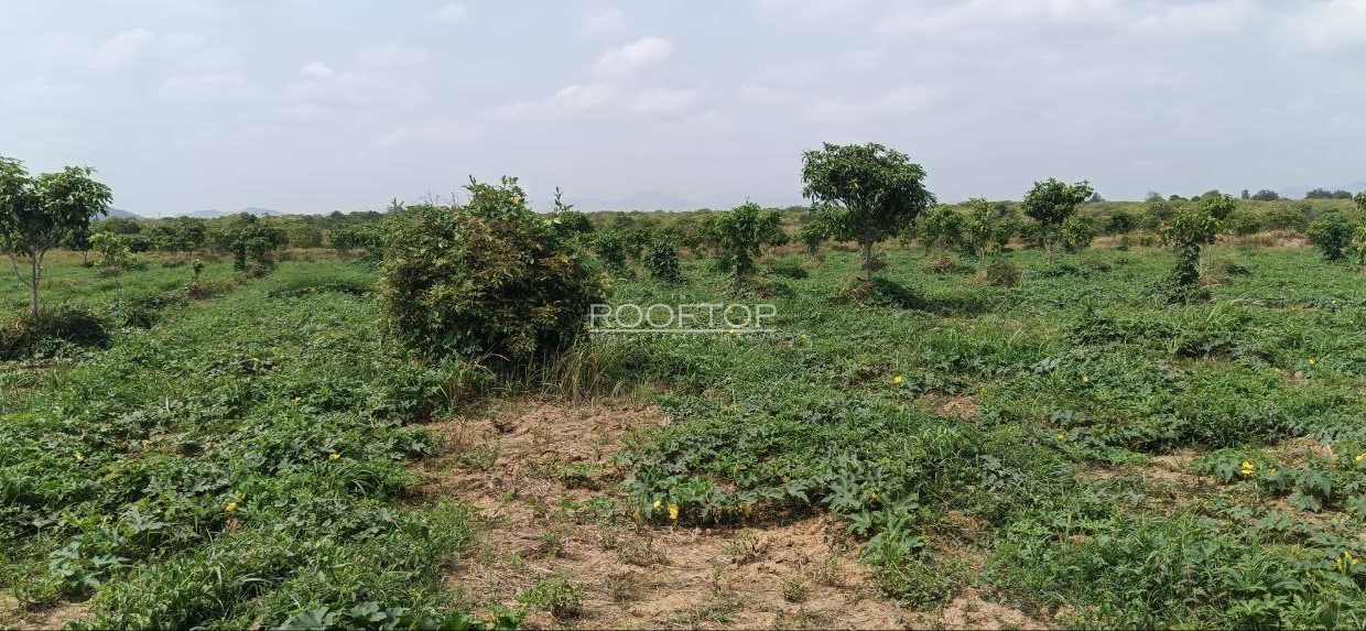 photo_2025-07-13_11-00-02