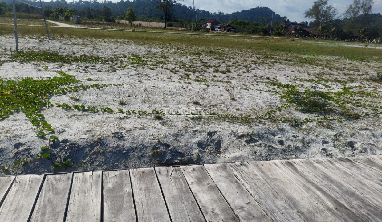 photo_2025-07-19_10-18-39