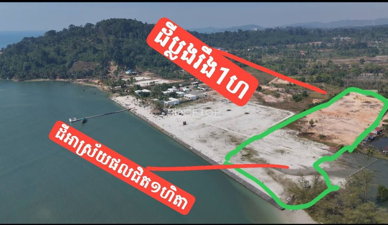 photo_2025-07-19_10-18-59