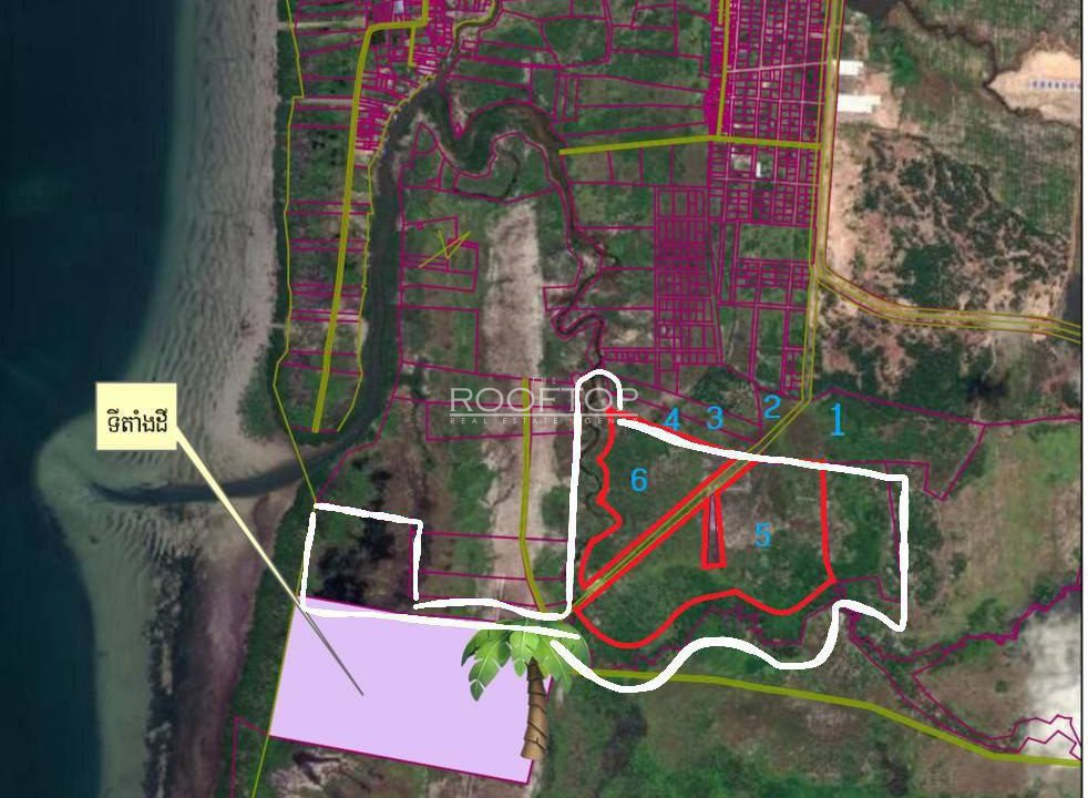 photo_2025-07-19_10-32-19