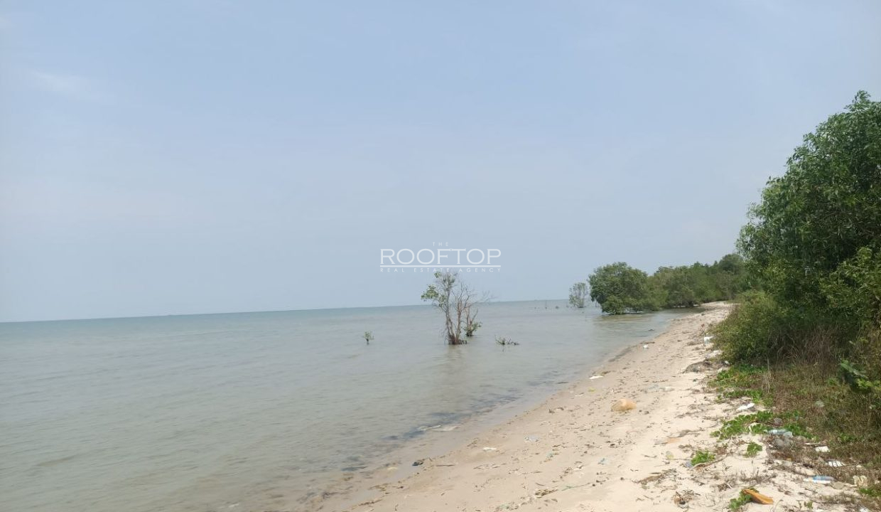 photo_2025-07-19_10-35-25