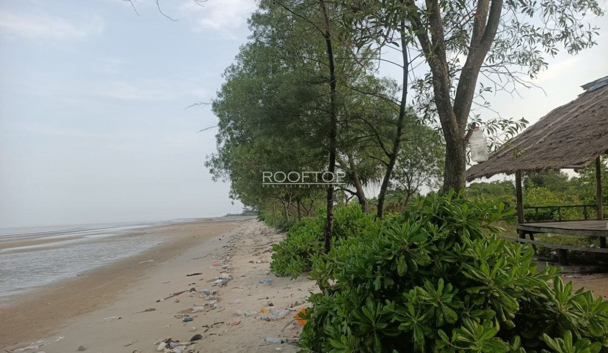 photo_2025-07-19_10-35-28